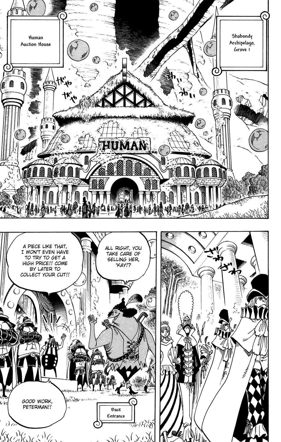 One Piece, Chapter 500 image 13